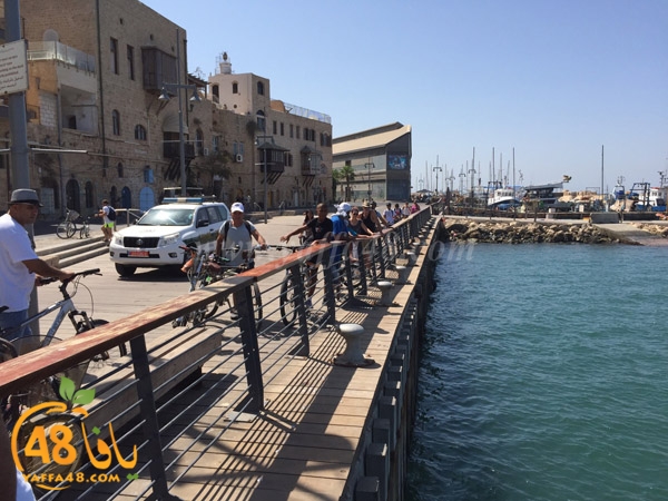 masra3 mina2 yaffa (6).jpg